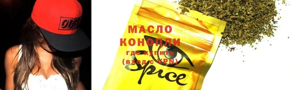 СК Алексин