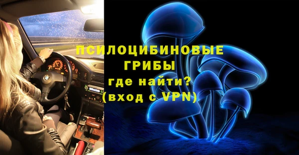 СК Алексин